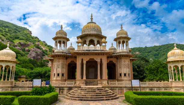 istock Gatore Ki Chhatriyan . 1421246945