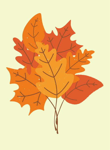 strauß von gefallenen herbstblättern. - acorn oak oak tree leaf stock-grafiken, -clipart, -cartoons und -symbole