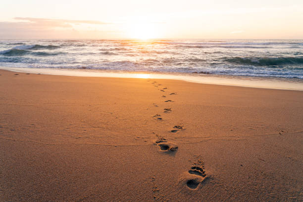istock Footprints on the sand of a beach at sunset 1421254109