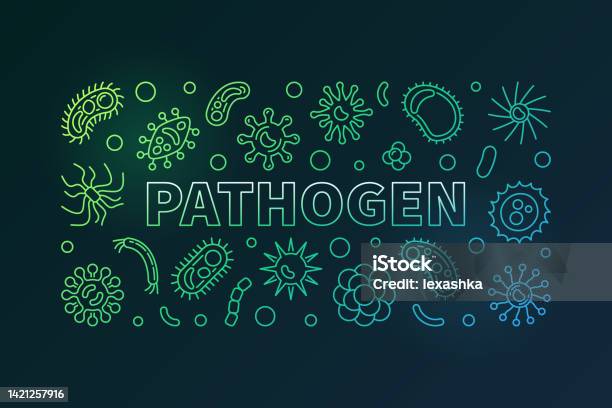 Pathagone Pathogen Bright Horizontal Banner Vector Colorful Illustration Stock ...