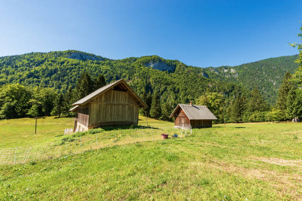 antiguo granero y granja de madera - parque nacional triglav eslovenia - shed cottage hut barn fotografías e imágenes de stock