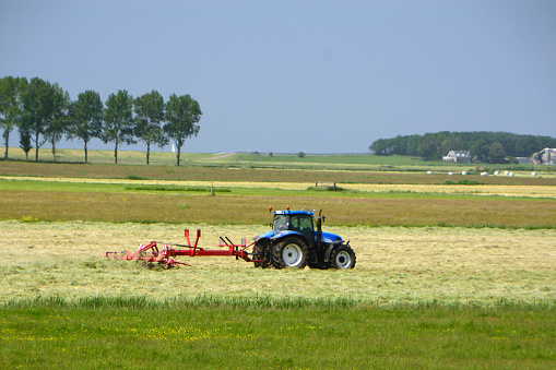 Tractor at work in a pasture with a rotary rake, near the cliffs of gaasterland, Friesland.