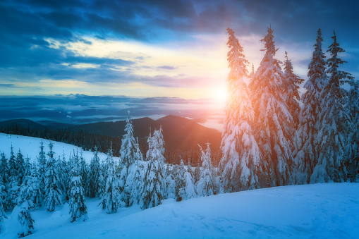 Bright colorful winter sunrise in alpine mountain valley covered with fresh snow. Christmas mood. Ukraine, Europe