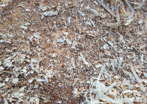 Wood shavings and chips texture closeup
