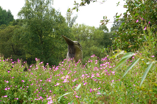 Wooden carved Kingfisher head peering over wild flowers