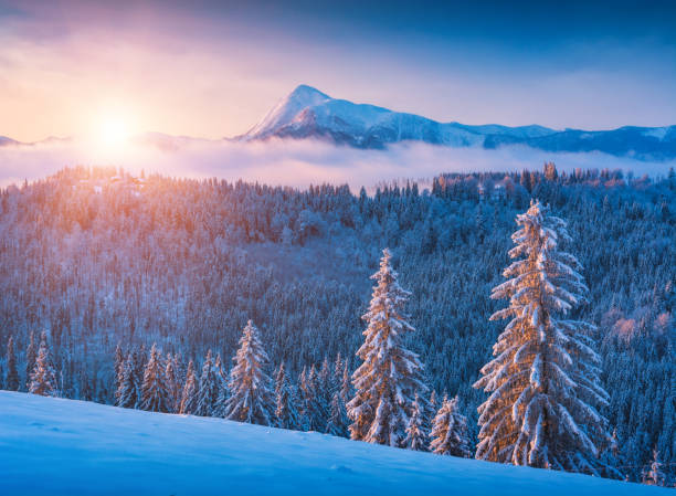 istock Valley covered with hoar frost 1421268036