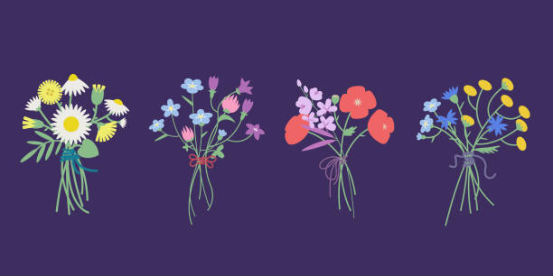 zestaw bukietów polnych kwiatów. - wildflower set poppy daisy stock illustrations