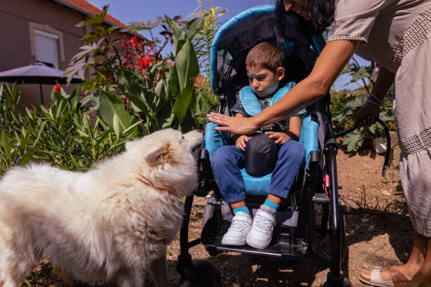 собака-терапевт и мальчик с инвалидностью - disablility стоковые фото и изображения