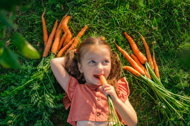 urocza dziewczyna z kucykami patrzy w zamyśleniu na bok, gryząc soczystą świeżą marchewkę z ogrodu. dziecko leży na trawie, widok z góry - carrot vegetable food freshness zdjęcia i obrazy z banku zdjęć