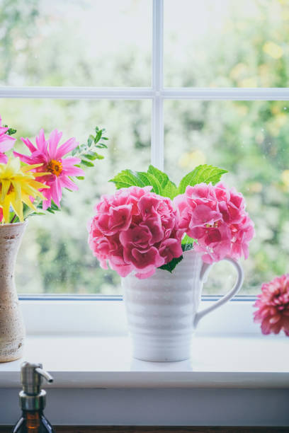 istock Freshly cut pink Hydrangea from the garden 1421277132