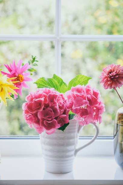 istock Freshly cut pink Hydrangea from the garden 1421277138