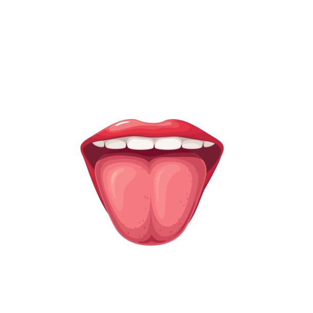 舌と歯で開いた口、女の子の赤い唇、孤立した健康な口腔 - human mouth mouth open shouting screaming点のイラスト素材／クリップアート素材／マンガ素材／アイコン素材