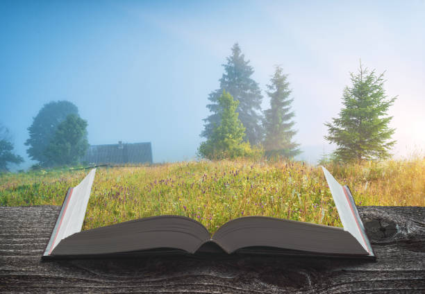 istock Meadow on the book 1421282696