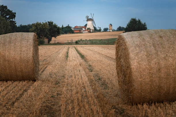istock Straw bales in a field 1421286330