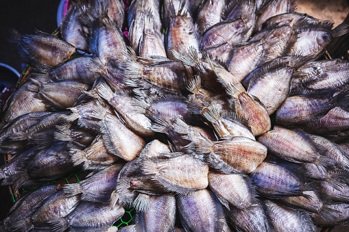 Close up of Dried fish for sale in Thai market. - stock photo