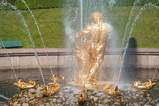 22 June 2022, Peterhof, Saint Petersburg, Russia. Golden Samson sculpture, part of the \