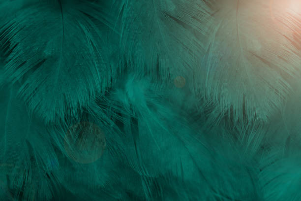 istock Beautiful dark green colors tone  feather with orange light texture pattern background,trends color 1421287297