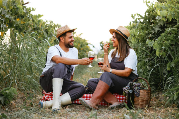 istock Couple clinking red wine glass in a Vineyard during sunset. 1421289638