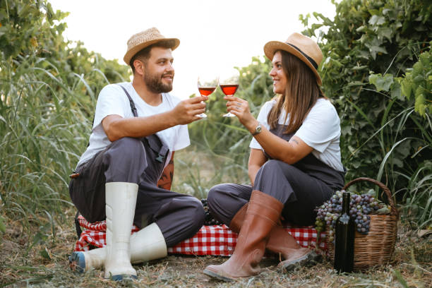 istock Couple clinking red wine glass in a Vineyard during sunset. 1421290284