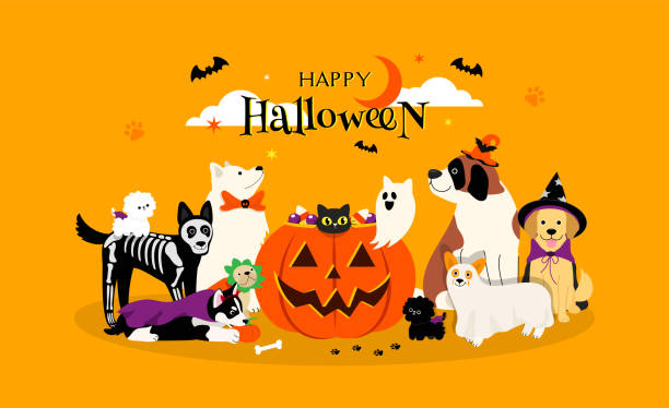 ilustraciones, imágenes clip art, dibujos animados e iconos de stock de feliz tarjeta de felicitación de halloween mascota ilustración vectorial. adorables perros disfrazados de halloween con calabaza grande - color image retriever illustration technique horizontal