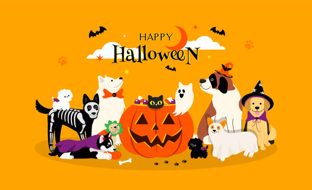 bildbanksillustrationer, clip art samt tecknat material och ikoner med happy halloween pet greeting card vector illustration. adorable dogs in halloween costumes with big pumpkin - knähund