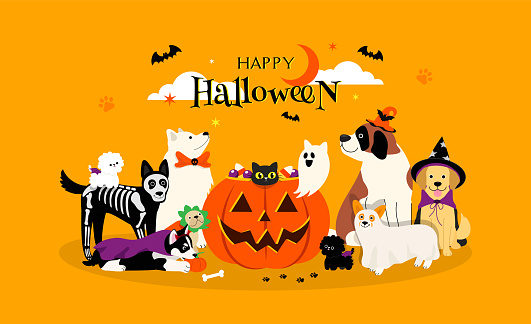 Happy Halloween pet greeting card Vector illustration. Adorable dogs in Halloween costumes with big pumpkin