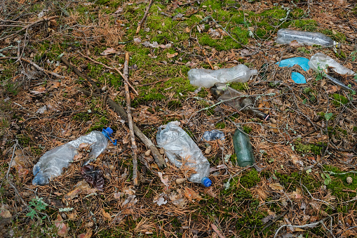 Plastic garbage in forest. Used disposable plastic bottles, containers and glass bottles in forest clearing. Pollution environment. Long decaying waste in nature.