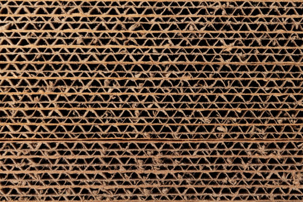 istock Multilayer corrugated cardboard in section, close-up. Cellular cardboard used for packaging and transportation of products. Concept of eco friendly recyclable paper packaging. Zero waste 1421301324