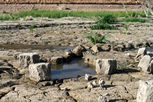 Small pool of water in a field of dry and cracked earth. Global warming and greenhouse effect. stock photo