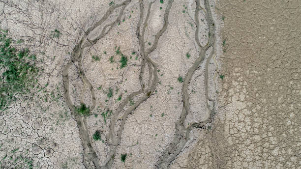 Aerial view of dry land texture in southern Europe. Global warming and greenhouse effect. stock photo