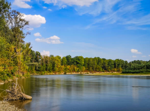 istock Summer landscape of a mountain river 1421304310
