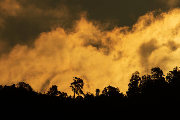 Mountain silhouette with golden sunlight. Beautiful landscape of the nature.