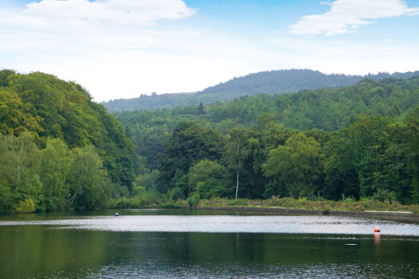 istock Lake in Etherow Park 1421308636