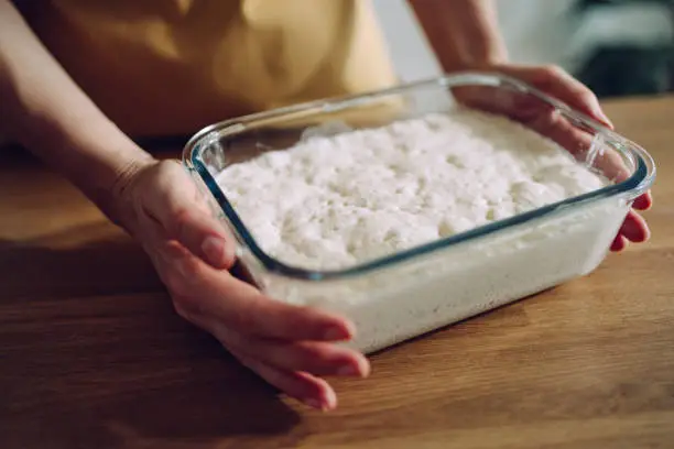 Photo of Anonymous Woman Holding a Glass Bowl With Sourdough Starter