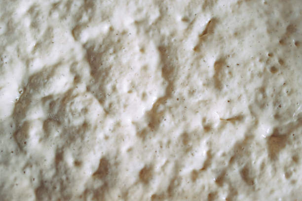 istock Zoomed In Shot of Active and Bubbly Sourdough Starter 1421310364