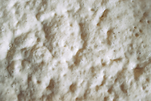 Cropped photo of active and bubbly sourdough starter for bread making.