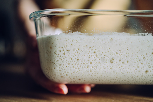 Zoomed in photo of an unrecognizable person's hand  holding a glass tray full of sourdough starter.