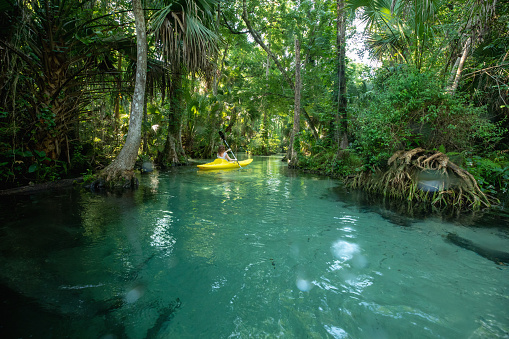 Female kayaker exploring the pristine waters of Rocks Springs Run, one of three main tributaries that feeds the Wekiva River Basin in Central Florida