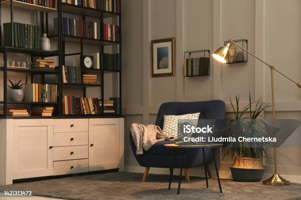Cozy Home Library Interior With Collection Of Different Books On Shelves And Comfortable Place For Reading Stock Photo - Download Image Now