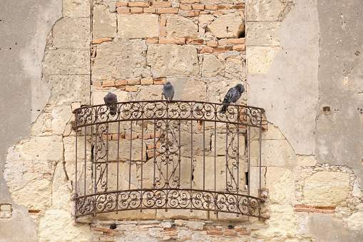 bricked-up window or walled balcony with 3 pigeons