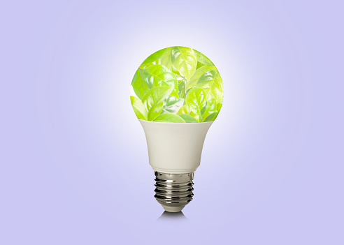 Saving energy, eco-friendly lifestyle. Fresh green leaves inside of light bulb on lilac background