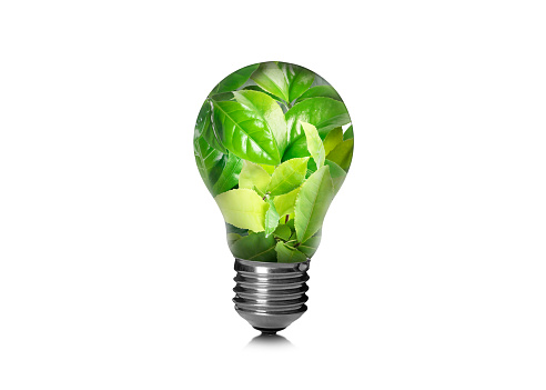 Saving energy, eco-friendly lifestyle. Fresh green leaves inside of light bulb on white background