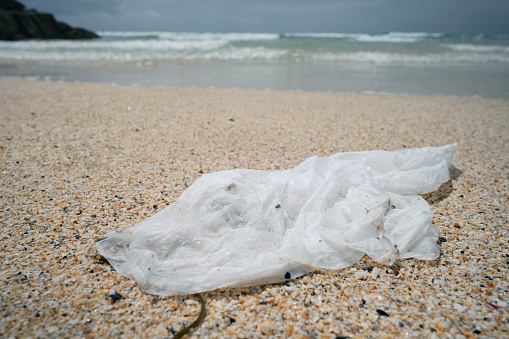 Washed up on a beach, discarded single use white plastic shopping bag.