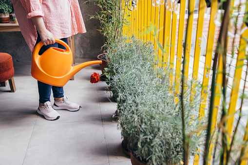 Anonymous woman watering plants with an orange watering can on her balcony.