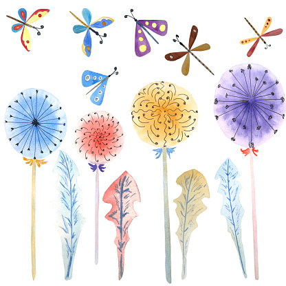 A composition of bright colored dandelions, moths, dragonflies and butterflies on a white background. Watercolor work. It can be used on postcards, patterns
