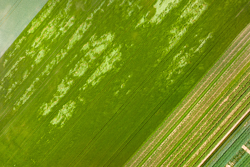 Abstract agricultural fields - aerial view