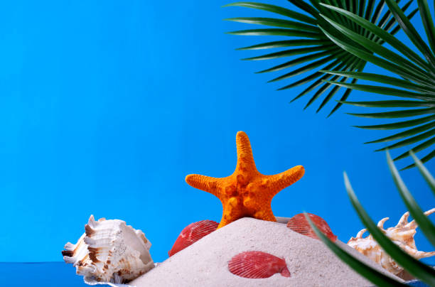istock Summer background with starfish and seashells in the sand on blue 1421326796