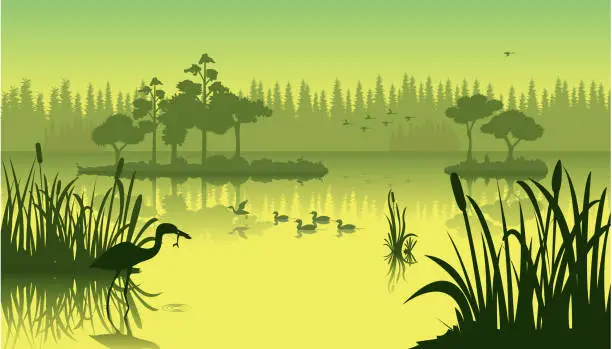 Vector illustration of Lake view landscape illustration premium vector illustration