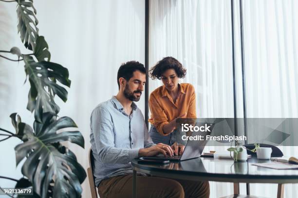 Two Colleagues Cooperating At Work Stock Photo - Download Image Now - Mentorship, Advice, Office