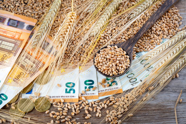 istock Concept of rising costs for wheat 1421338836